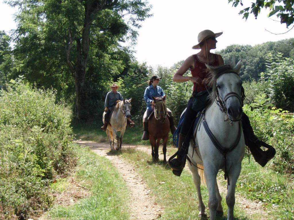 Le Trot'In Chair Panzió Martigny-le-Comte Kültér fotó